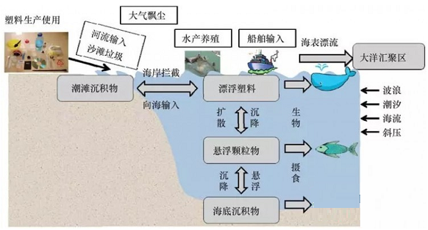 微信截图_20190611101020.png