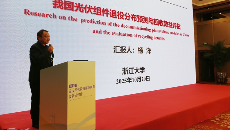 杨洋.jpg