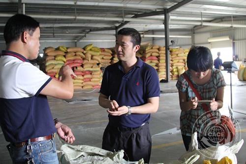 再生化纤原料-废瓶片_副本.jpg